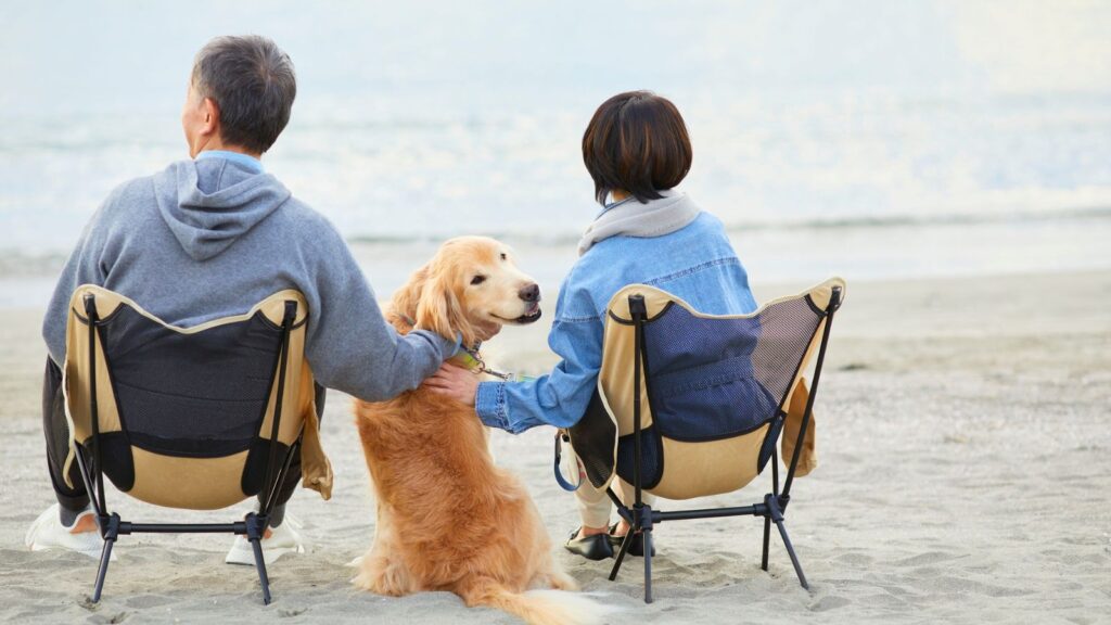 Para siedzi na składanych krzesłach na plaży z psem rasy golden retriever podczas spaceru nad morzem.