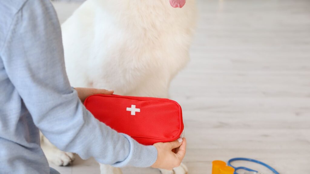 Biały pies siedzi w domu, a osoba trzyma czerwoną apteczkę pierwszej pomocy dla psa.