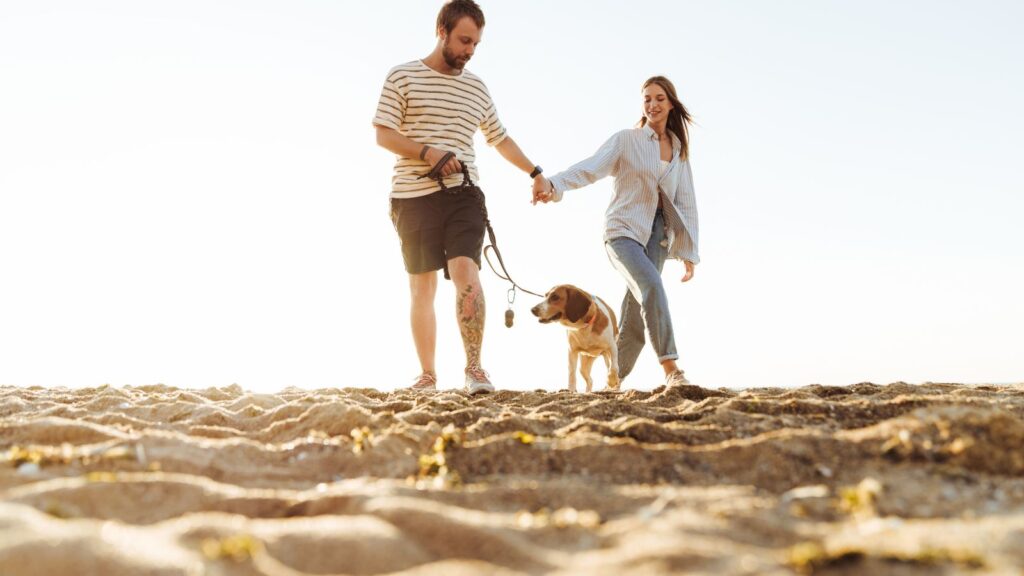Para spaceruje po pustej plaży z psem na smyczy podczas wakacyjnego spaceru.