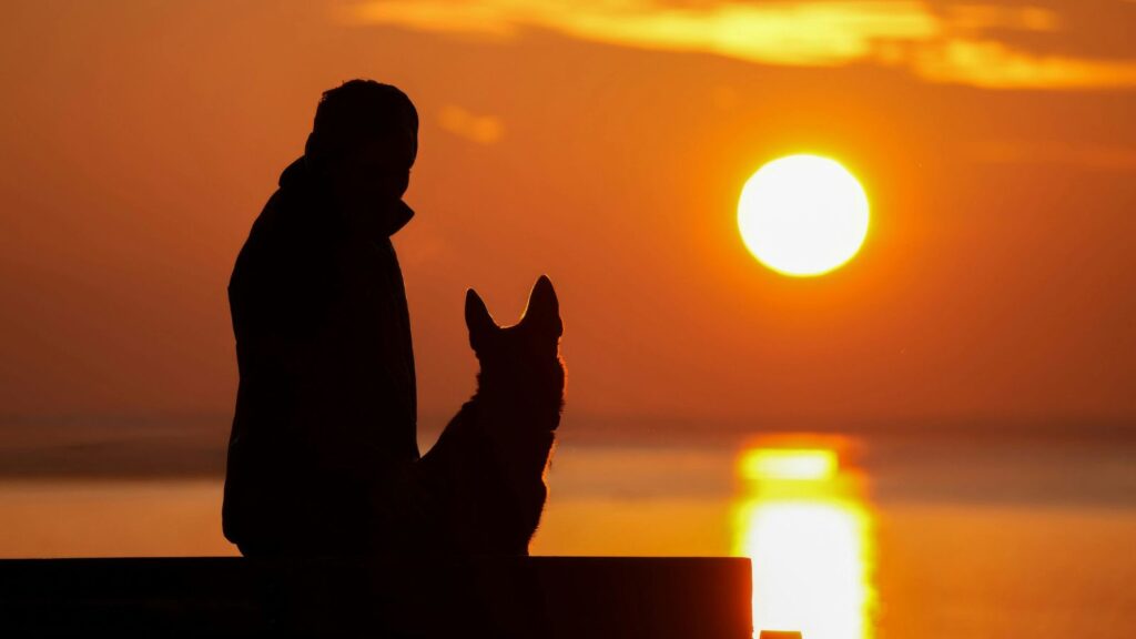 Osoba z psem o zachodzie słońca na wspólnym wyjeździe wakacyjnym.