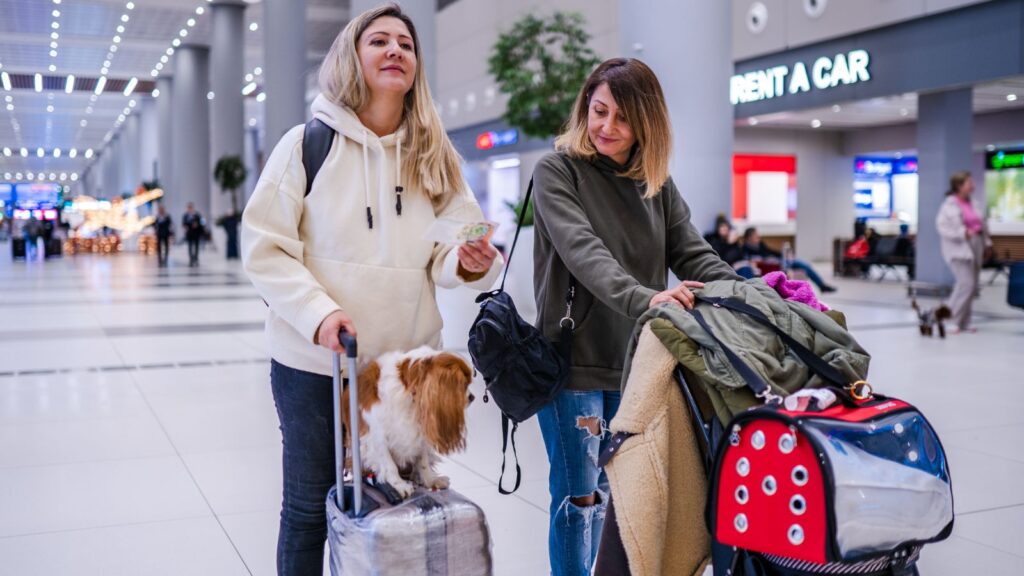 Odprawa z psem na lotnisku przed podróżą samolotem.